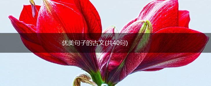 优美句子的古文(共40句),第1张