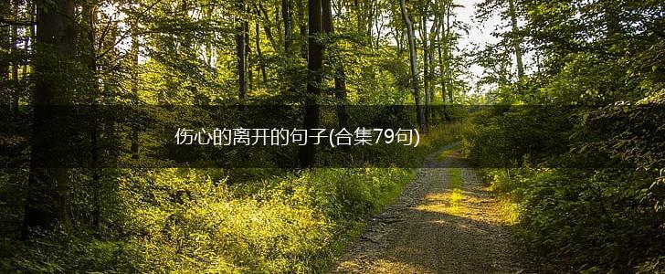 伤心的离开的句子(合集79句),第1张