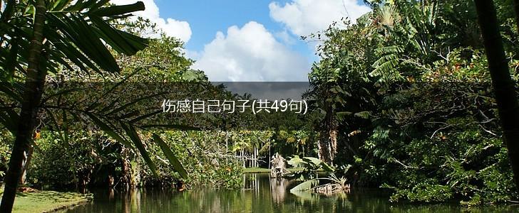 伤感自己句子(共49句),第1张