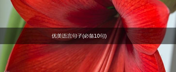 优美语言句子(必备10句),第1张