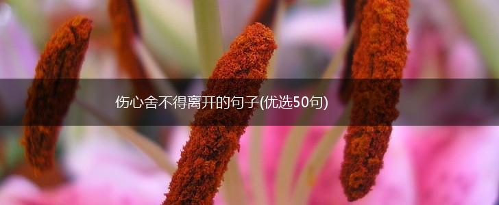 伤心舍不得离开的句子(优选50句),第1张