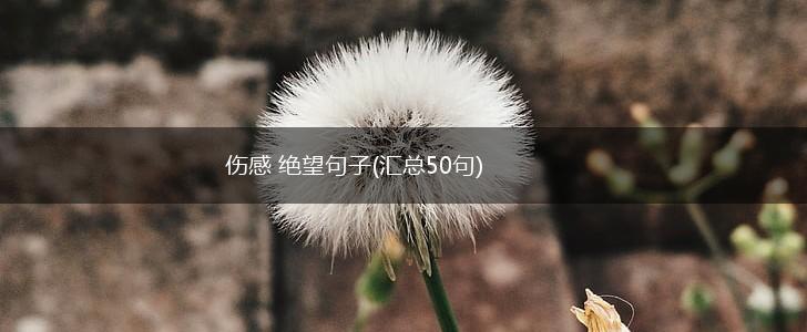 伤感 绝望句子(汇总50句),第1张