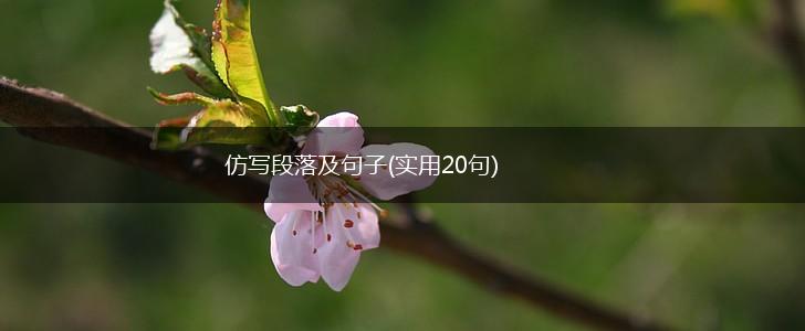 仿写段落及句子(实用20句),第1张