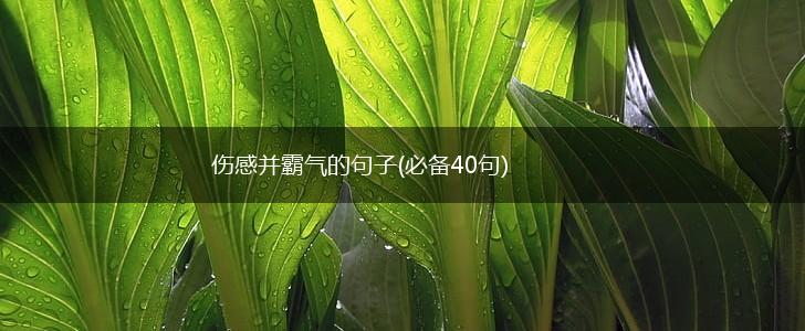 伤感并霸气的句子(必备40句),第1张