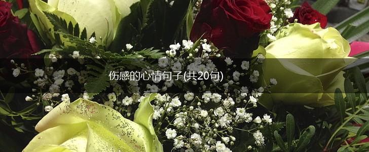 伤感的心情句子(共20句),第1张