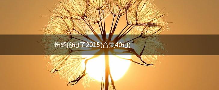 伤感的句子2015(合集40句),第1张