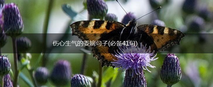 伤心生气的委婉句子(必备41句),第1张