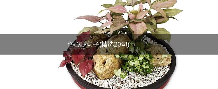 伤心哒句子(精选20句),第1张