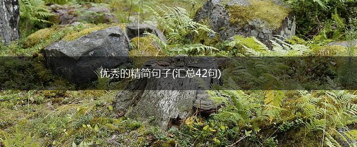 优秀的精简句子(汇总42句),第1张