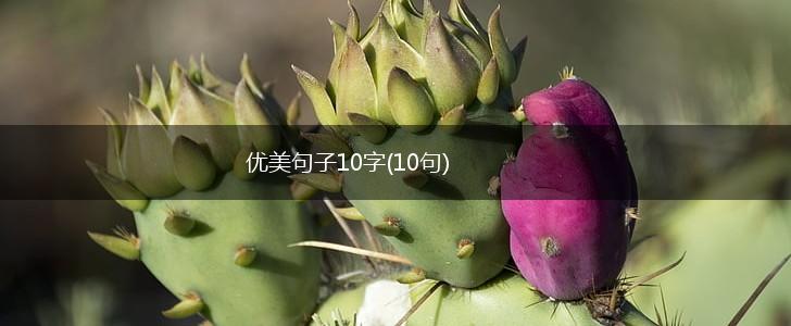 优美句子10字(10句),第1张