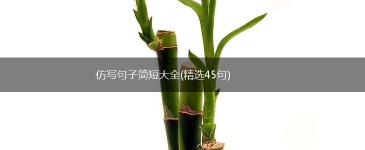 仿写句子简短大全(精选45句),第1张