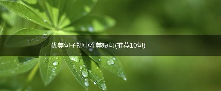 优美句子初中唯美短句(推荐10句),第1张