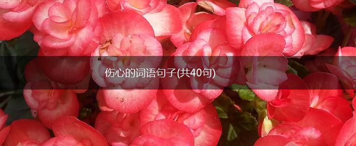 伤心的词语句子(共40句),第1张