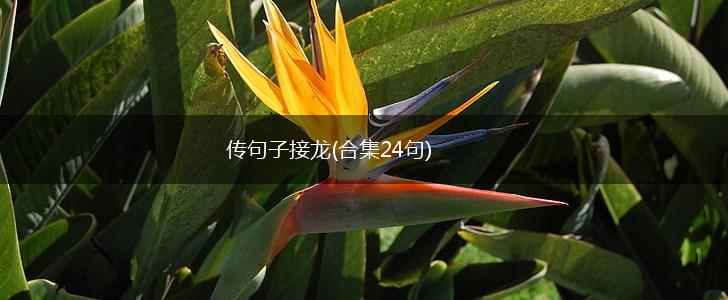 传句子接龙(合集24句),第1张