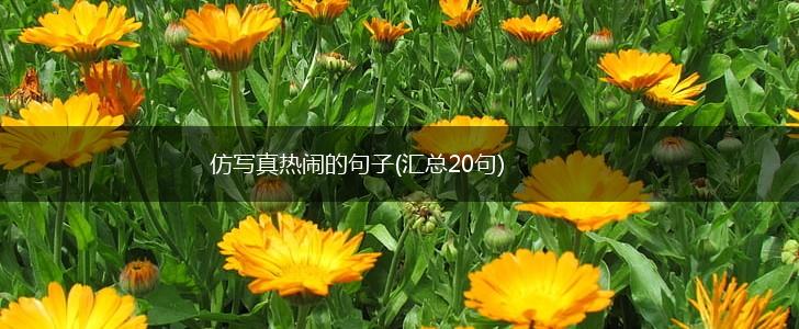仿写真热闹的句子(汇总20句),第1张