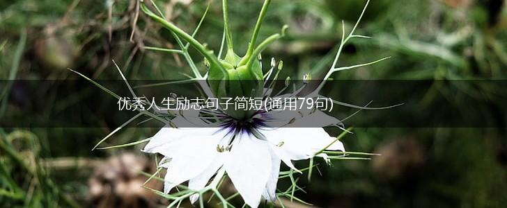 优秀人生励志句子简短(通用79句),第1张