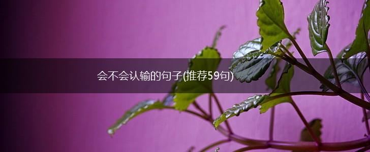 会不会认输的句子(推荐59句),第1张