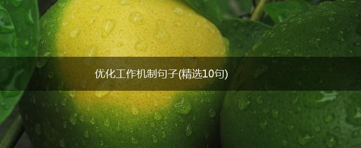 优化工作机制句子(精选10句),第1张