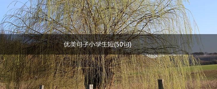 优美句子小学生短(50句),第1张