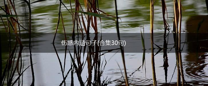 伤感内涵句子(合集30句),第1张