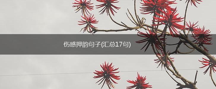 伤感押韵句子(汇总17句),第1张