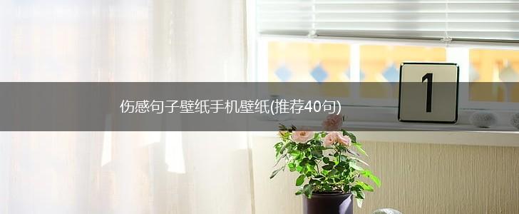 伤感句子壁纸手机壁纸(推荐40句),第1张