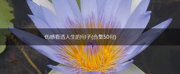 伤感看透人生的句子(合集50句),第1张