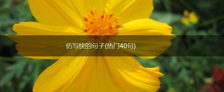仿写快的句子(热门40句),第1张