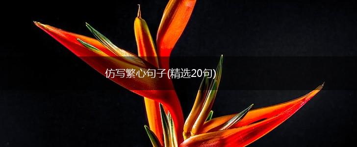 仿写繁心句子(精选20句),第1张