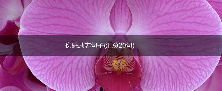 伤感励志句子(汇总20句),第1张