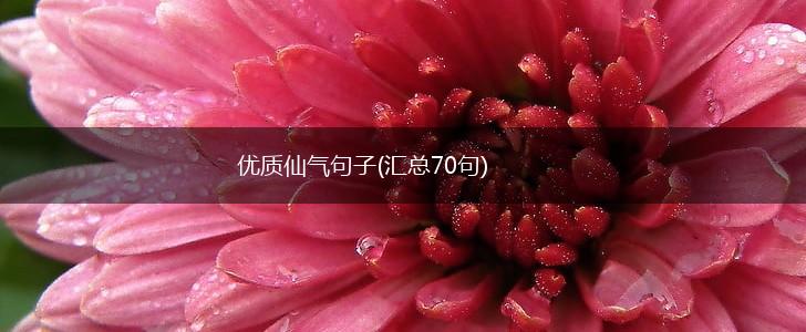 优质仙气句子(汇总70句),第1张