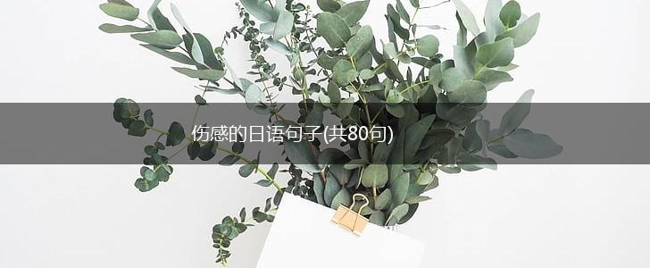 伤感的日语句子(共80句),第1张