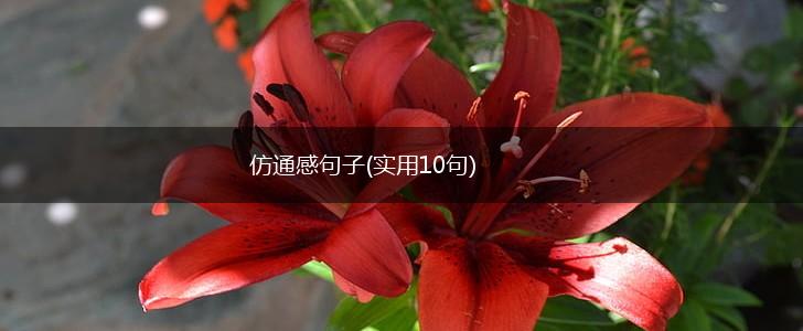 仿通感句子(实用10句),第1张