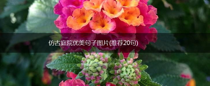 仿古庭院优美句子图片(推荐20句),第1张