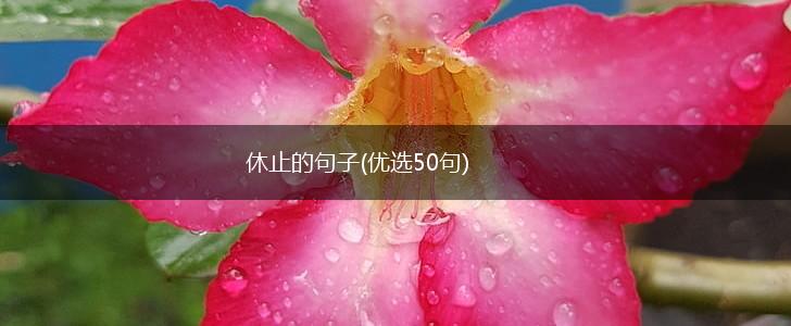 休止的句子(优选50句),第1张