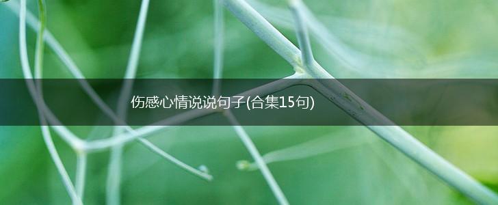 伤感心情说说句子(合集15句),第1张