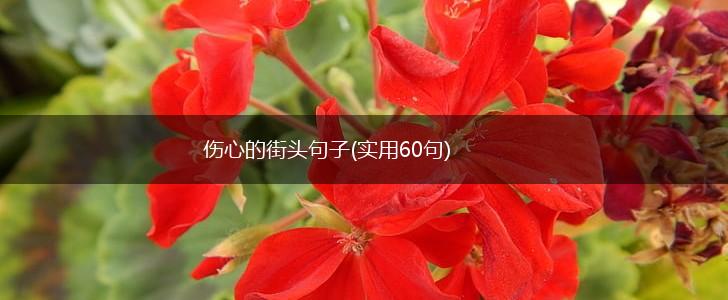 伤心的街头句子(实用60句),第1张