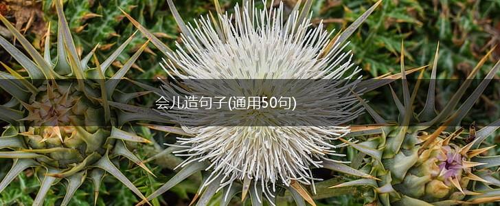 会儿造句子(通用50句),第1张