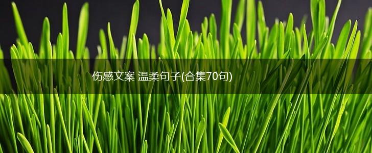 伤感文案 温柔句子(合集70句),第1张