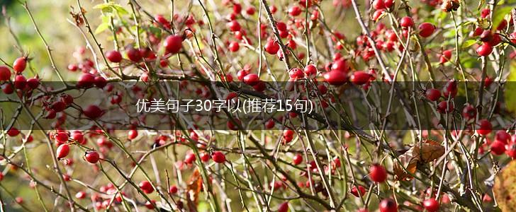 优美句子30字以(推荐15句),第1张