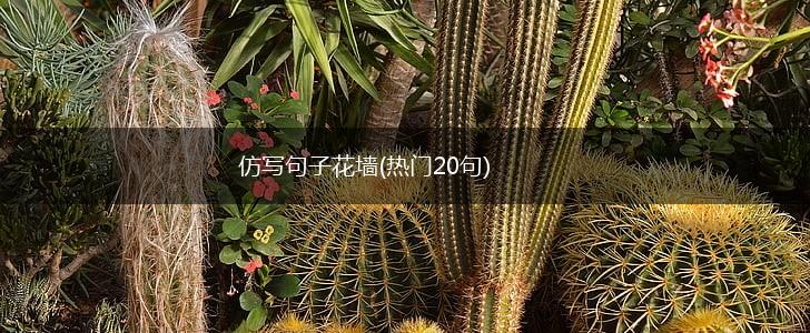 仿写句子花墙(热门20句),第1张