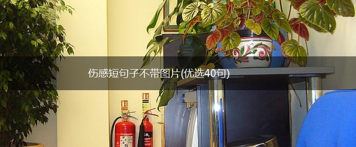伤感短句子不带图片(优选40句),第1张