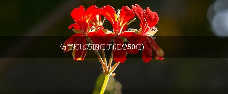 仿写打比方的句子(汇总50句),第1张