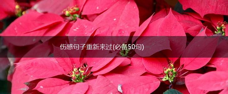 伤感句子重新来过(必备50句),第1张