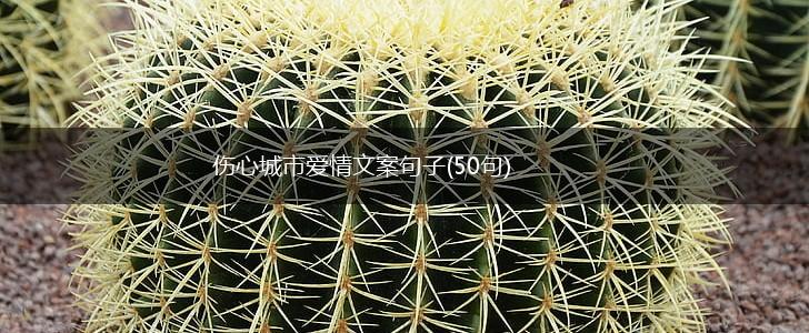 伤心城市爱情文案句子(50句),第1张