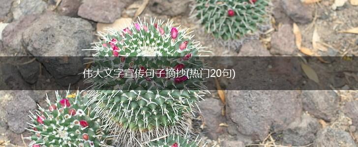 伟大文字宣传句子摘抄(热门20句),第1张