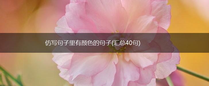 仿写句子里有颜色的句子(汇总40句),第1张