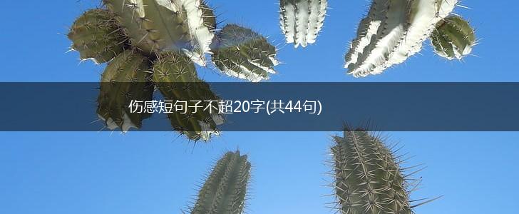 伤感短句子不超20字(共44句),第1张