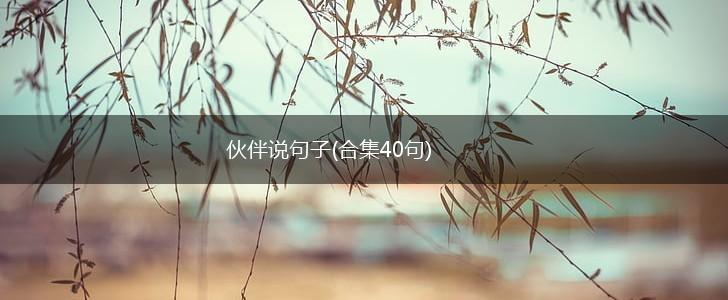 伙伴说句子(合集40句),第1张