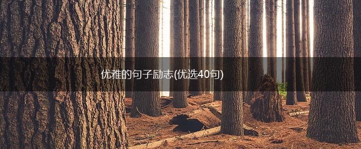 优雅的句子励志(优选40句),第1张